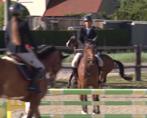Reitturnier Poxdorf/Ofr 2025