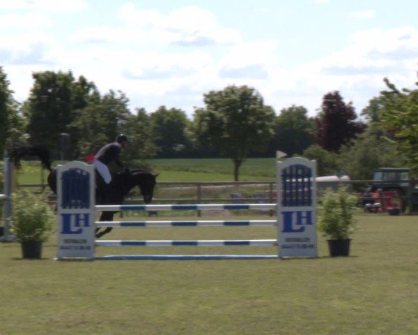 Reitturnier Wilkenburg 2025