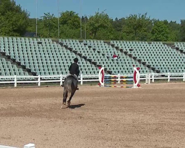 Reitturnier Kreuth/Opf. 2025