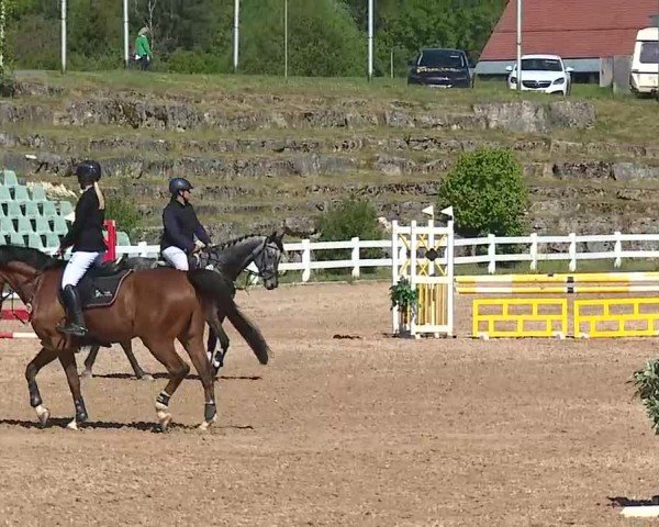 Reitturnier Kreuth/Opf. 2025