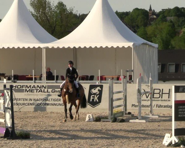 Reitturnier Zwickau 2025