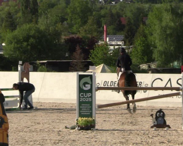 Reitturnier Zwickau 2025