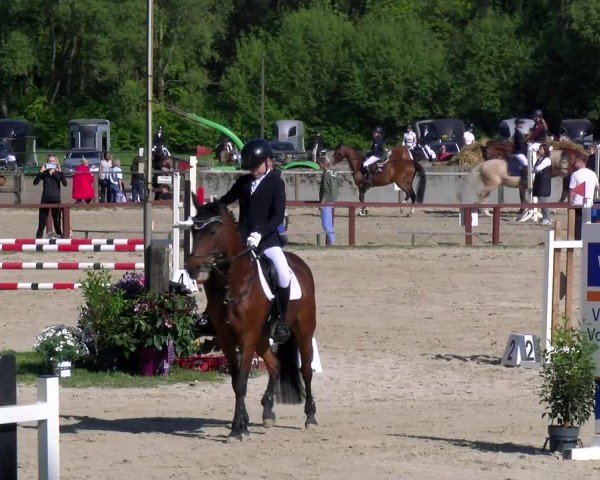 Reitturnier Dorsten 2025