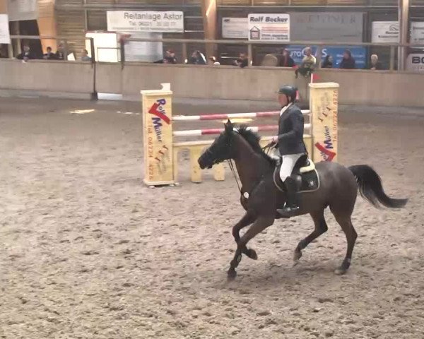 Hallenturnier Heidelberg-Kirchheim 2014