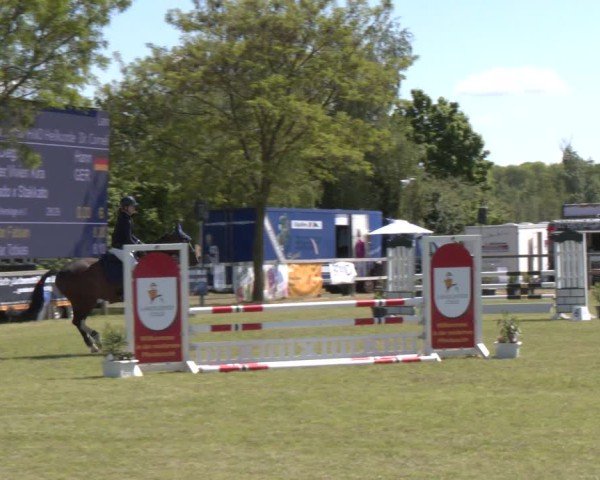 Reitturnier Wilkenburg 2025