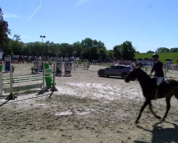 Reitturnier Dorsten 2025