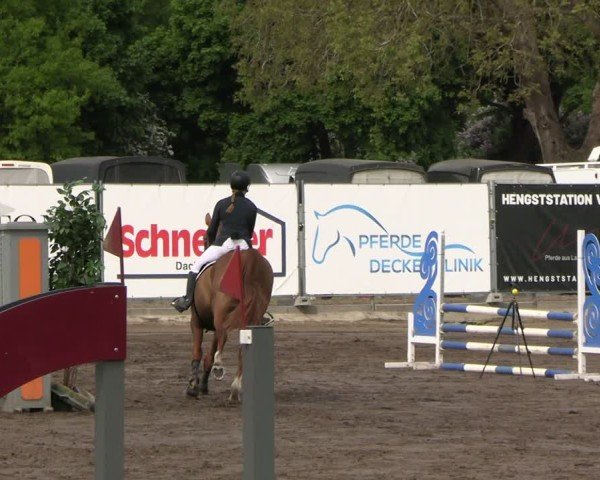 Reitturnier Lentzke - Reitanlage Krehl 2025