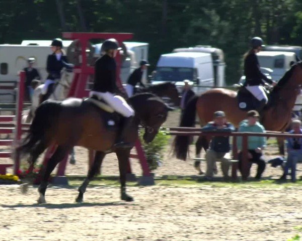 Reitturnier Dorsten 2025