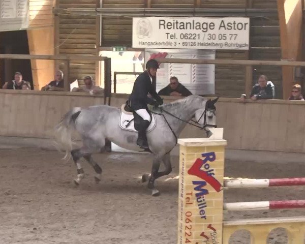 Hallenturnier Heidelberg-Kirchheim 2014
