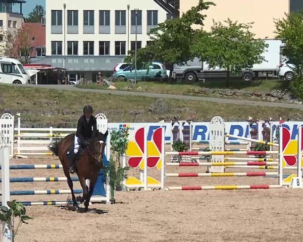 Reitturnier Kreuth/Opf. 2025