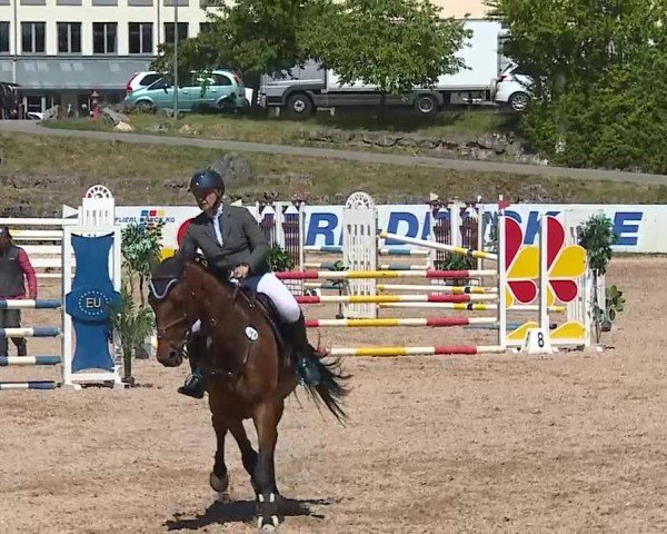 Reitturnier Kreuth/Opf. 2025