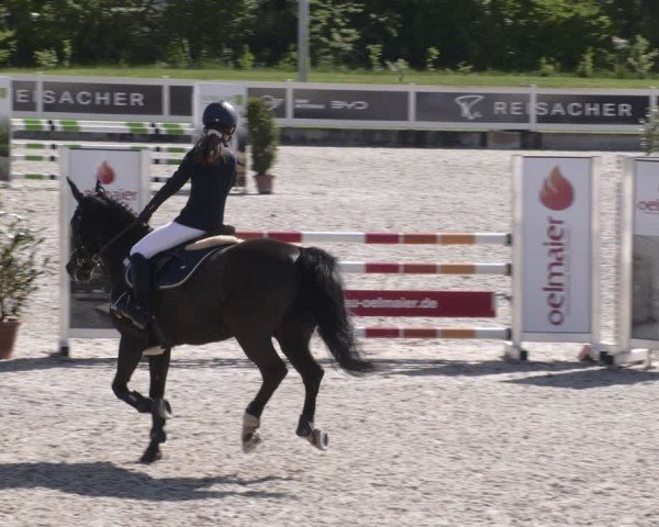 Reitturnier Babenhausen 2025