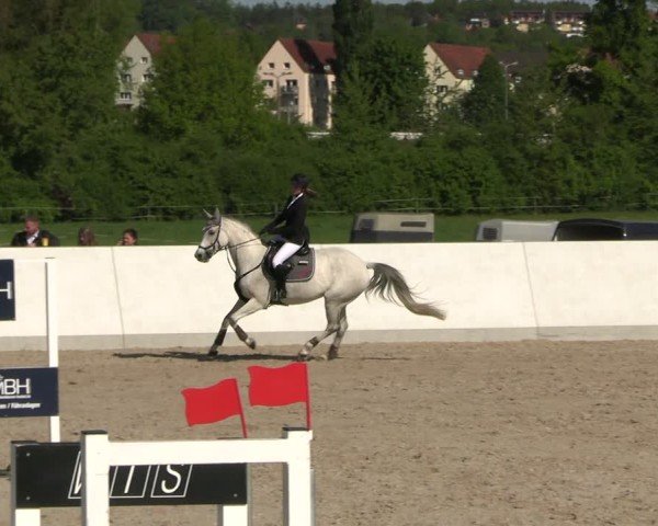 Reitturnier Zwickau 2025