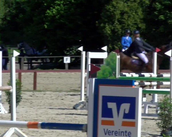 Reitturnier Dorsten 2025