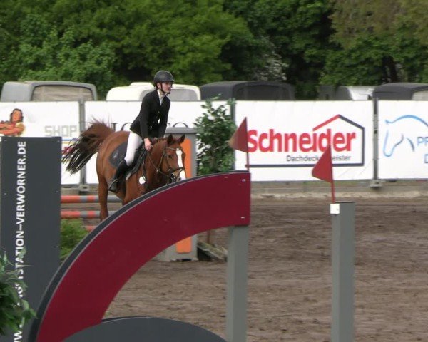 Reitturnier Lentzke - Reitanlage Krehl 2025