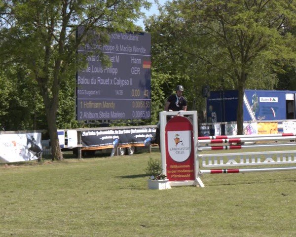 Reitturnier Wilkenburg 2025