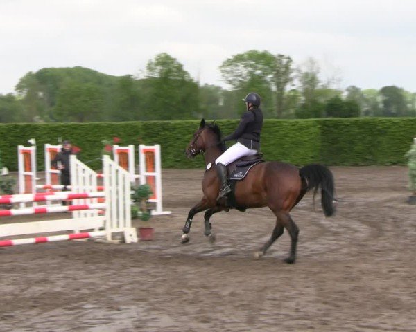 Reitturnier Lentzke - Reitanlage Krehl 2025
