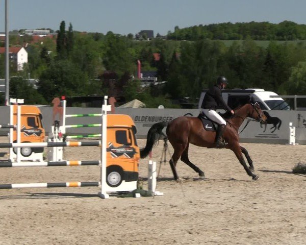 Reitturnier Zwickau 2025
