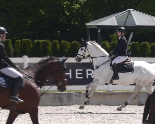 Reitturnier Babenhausen 2025