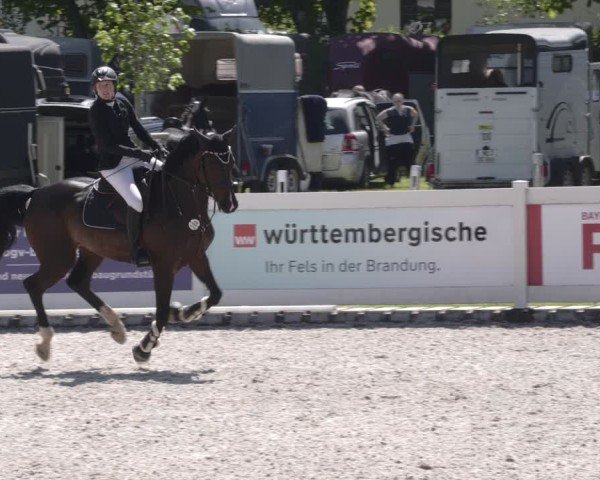 Reitturnier Babenhausen 2025