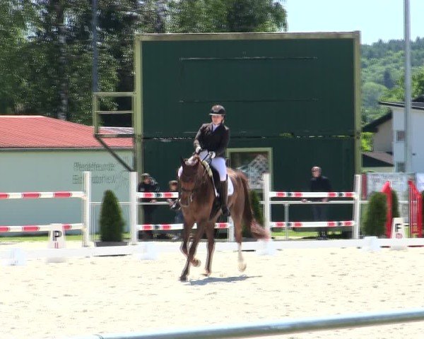 Reitturnier Eichendorf/Ndb. 2025