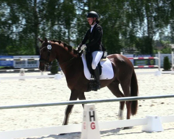 Reitturnier Eichendorf/Ndb. 2025