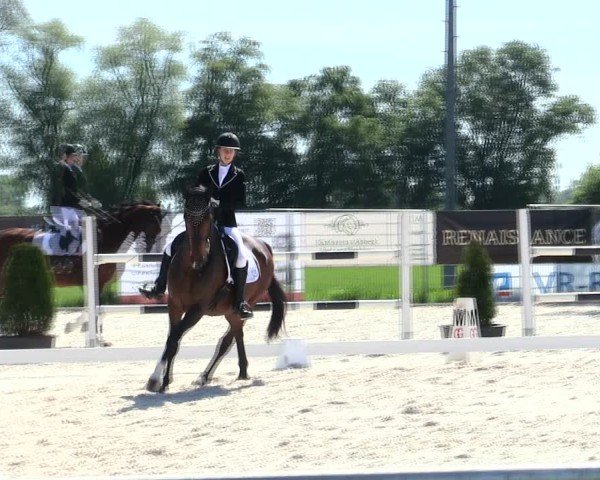 Reitturnier Eichendorf/Ndb. 2025