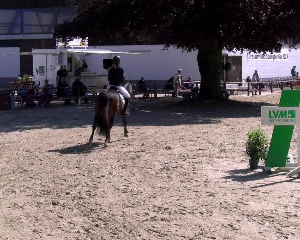 Reitturnier Dorsten 2025