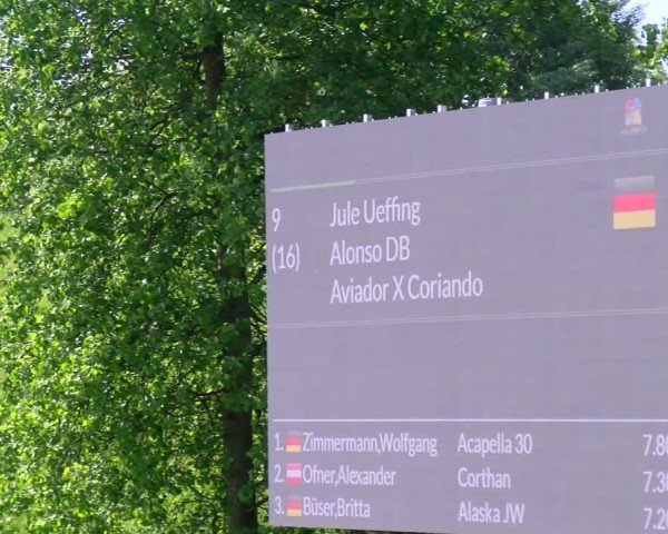 Reitturnier Dorsten 2025