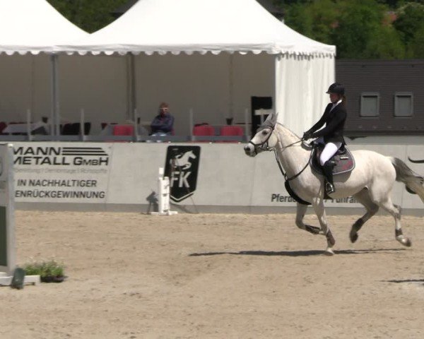Reitturnier Zwickau 2025