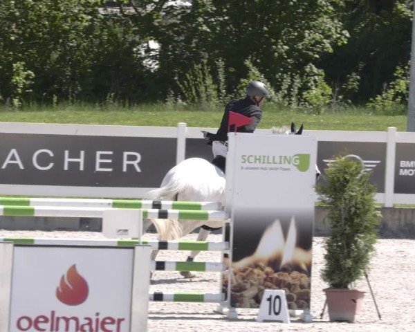 Reitturnier Babenhausen 2025