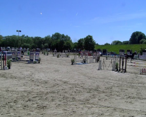 Reitturnier Dorsten 2025