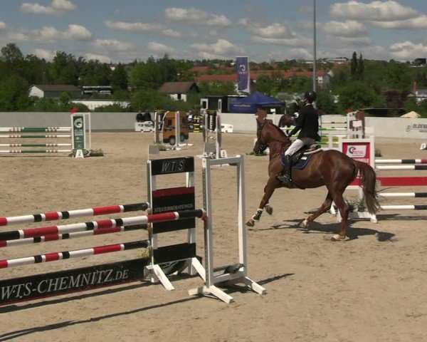 Reitturnier Zwickau 2025