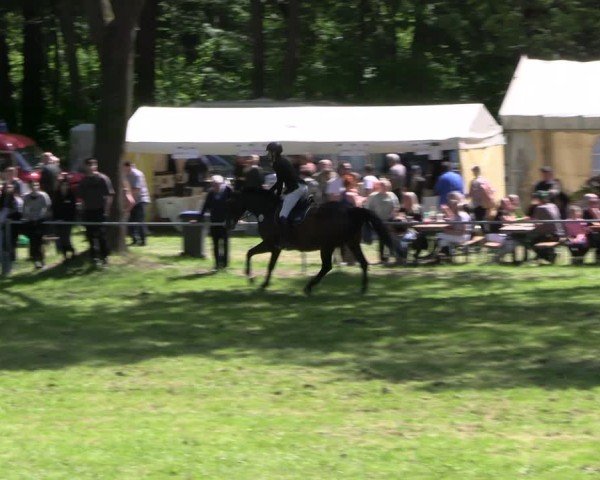 Reitturnier Helmsdorf 2025
