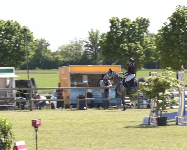 Reitturnier Wilkenburg 2025