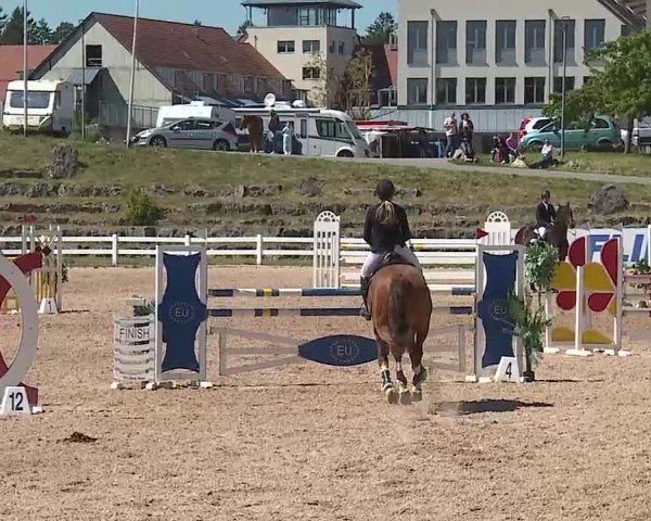 Reitturnier Kreuth/Opf. 2025