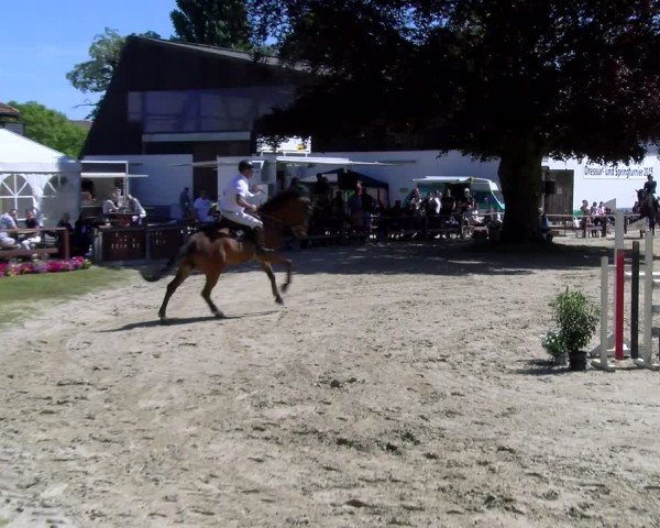 Reitturnier Dorsten 2025
