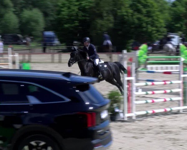 Reitturnier Dorsten 2025