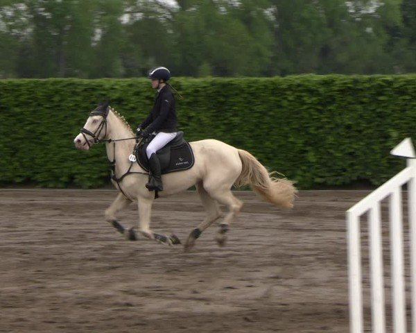 Reitturnier Lentzke - Reitanlage Krehl 2025
