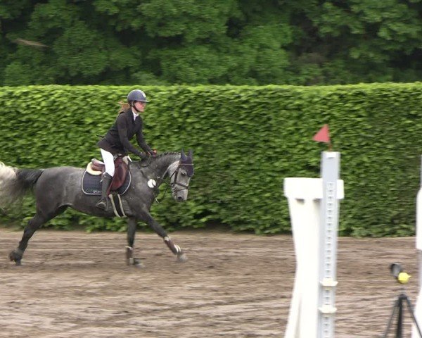 Reitturnier Lentzke - Reitanlage Krehl 2025