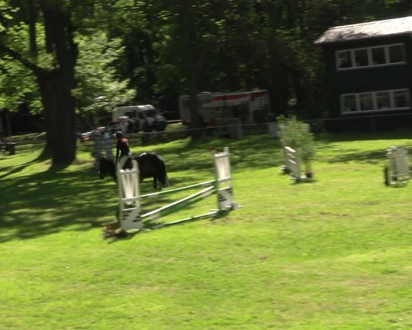 Reitturnier Helmsdorf 2025
