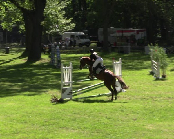 Reitturnier Helmsdorf 2025