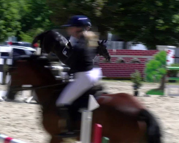 Reitturnier Dorsten 2025
