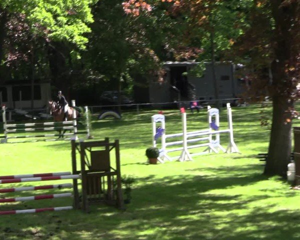 Reitturnier Helmsdorf 2025