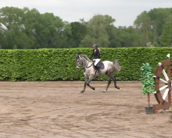 Reitturnier Lentzke - Reitanlage Krehl 2025
