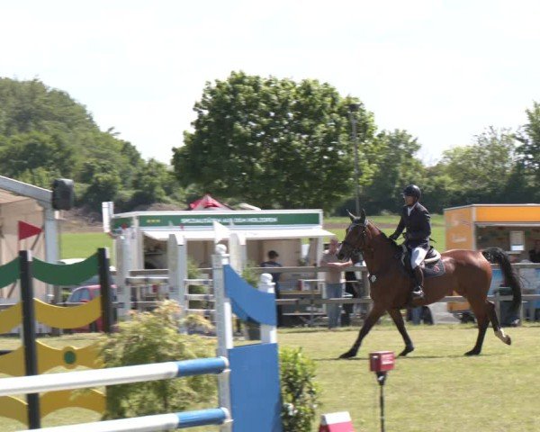 Reitturnier Wilkenburg 2025