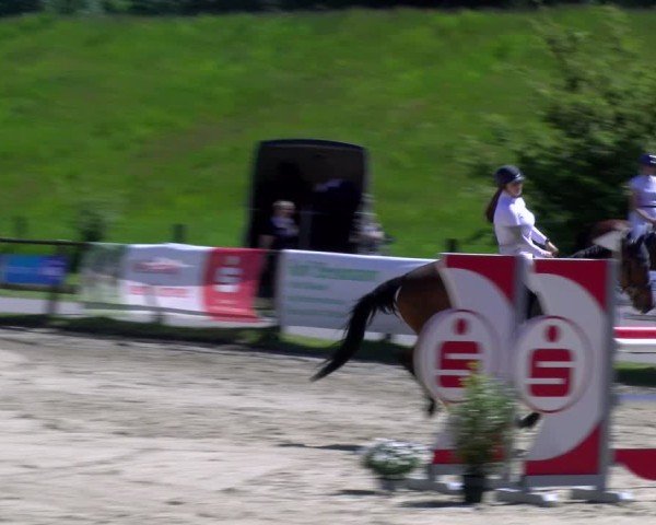 Reitturnier Dorsten 2025