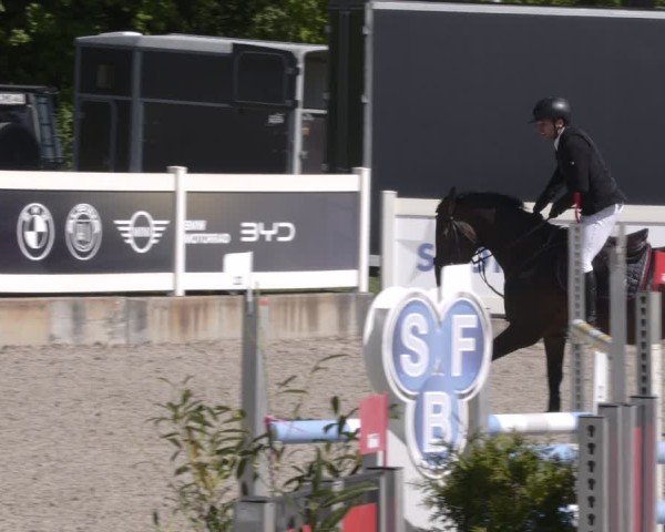 Reitturnier Babenhausen 2025