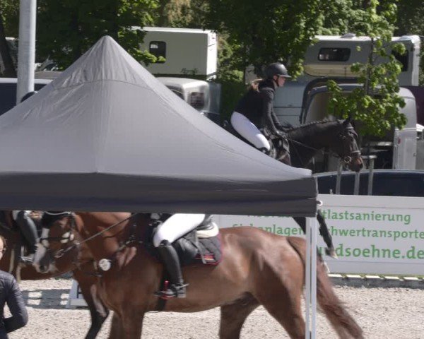 Reitturnier Babenhausen 2025