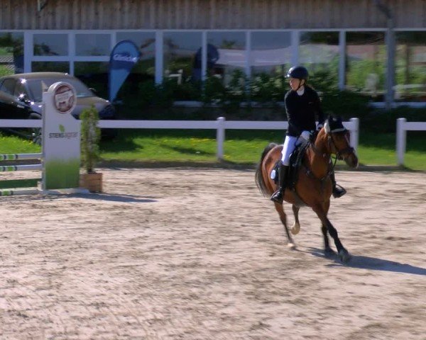 Reitturnier Fürstenwald 2025